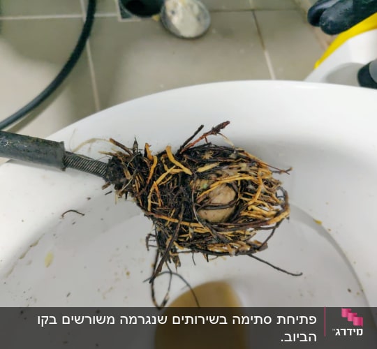כלי עבודה עם סתימה בכיור
